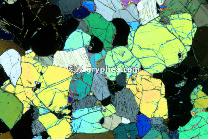 Péridotite LPA x5 - gryphea.com